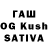 Псилоцибиновые грибы GOLDEN TEACHER gurujr