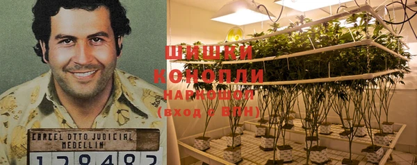 каннабис Белокуриха